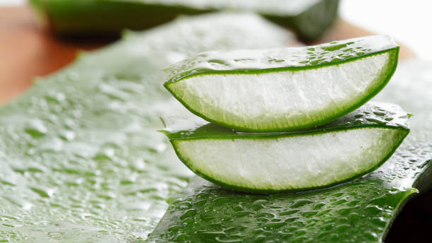 Sliced green aloe vera plant with water droplets stock photo