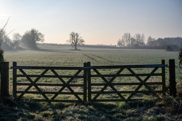 istock Misty view through a wooden farm gate 1364796856