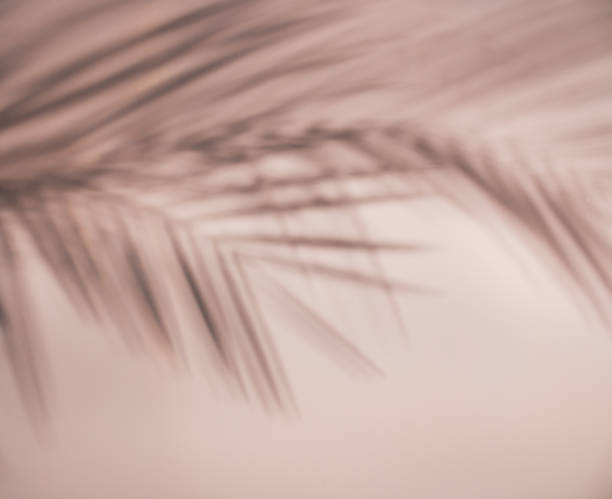 istock Shadow of palm tree leaf on pastel peach color background. Summer creative concept idea. Vacation mode. Top view. Flat lay. 1364798594
