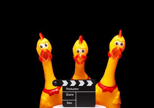 image of clapper board rubber chicken dark background