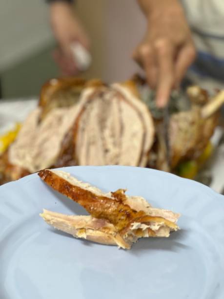istock Slice of turkey on plate 1364802858