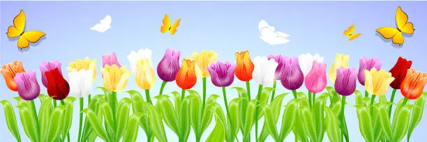 Vector illustration of Spring Concept
