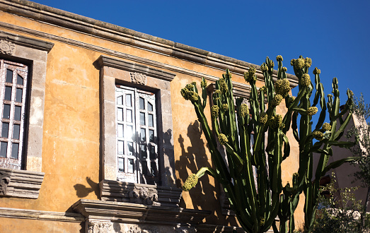 La Jolla, CA: A luxurious Italianate home with a tall candelabra cactus out front in downtown La Jolla.