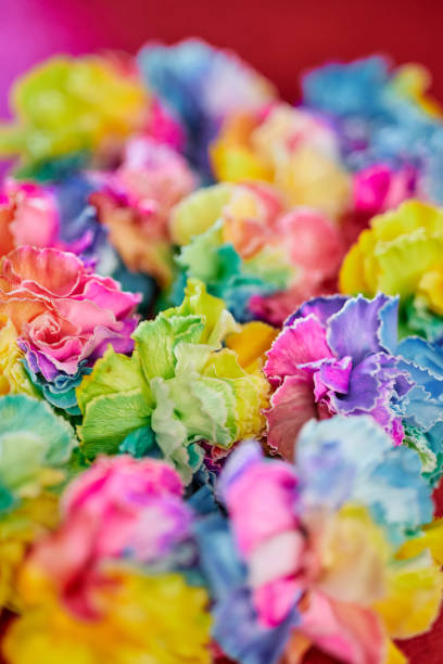 虹色の花。lgbtqの誇りまたは母の日の概念 - carnation mothers day florist flower ストックフォトと画像