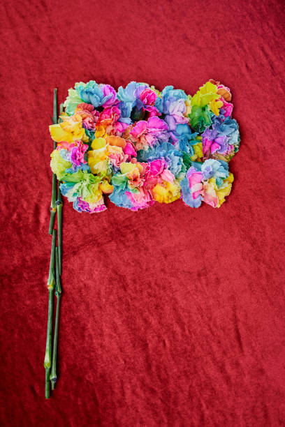 美しい多色カーネーションの花で作られた旗 - carnation mothers day florist flower ストックフォトと画像