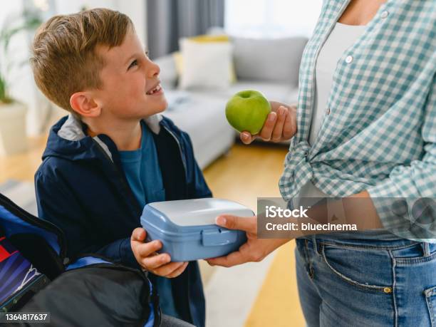 School Child Taking Lunch Box From His Mother Stock Photo - Download Image Now - Lunch Box, Child, Lunch