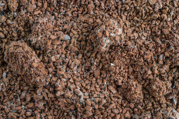 background with granulated instant coffee grounds spoiled by mold. stock photo