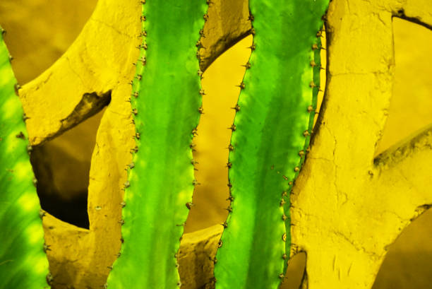 istock Abstract close-up in green and yellow 1364820000