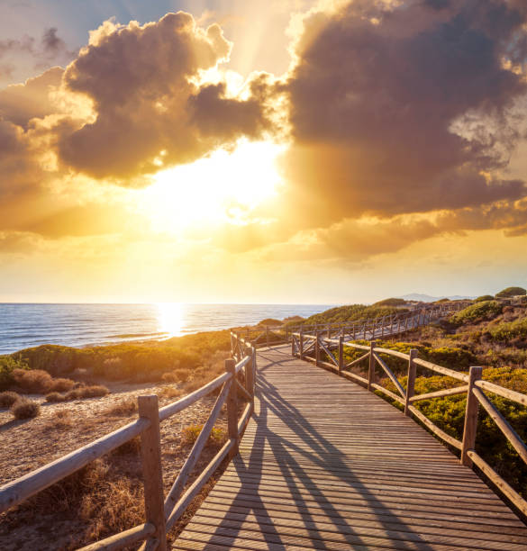 marbella artola dune e spiaggia nel parco naturale di cabopino ai soli - beach sunset sand wood foto e immagini stock