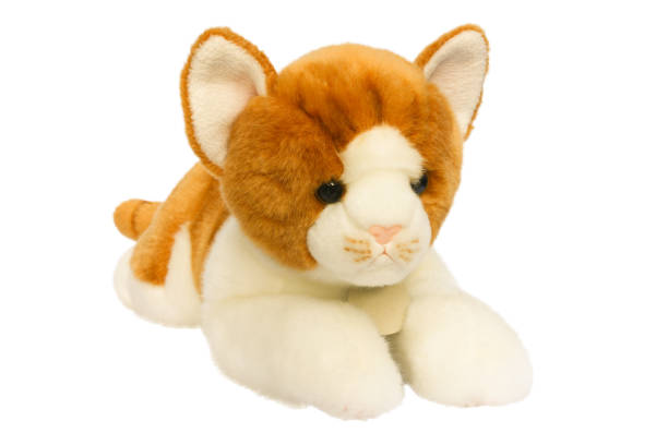 istock Cute soft plush toy cat isolated on white background 1364824529