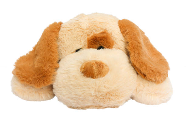 istock Cute soft plush toy dog isolated on white background 1364824543