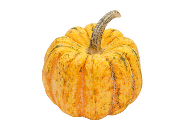 istock Yellow-green mini pumpkin isolated on white background 1364825328