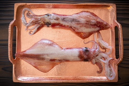 Two squid calamari fresh just after capture seafood on metal copper color tray over dark wooden table board