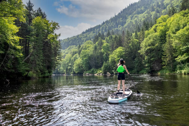 istock Woman Paddleboarding on the River in Summer 1364827762