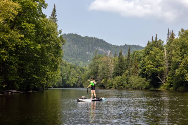 istock Woman Paddleboarding on the River in Summer 1364827857