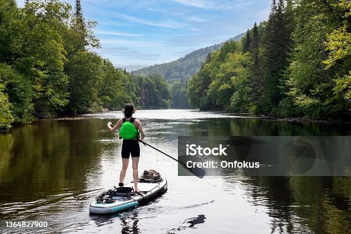 istock Woman Paddleboarding on the River in Summer 1364827900