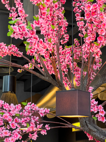 Beautiful flower decoration in a Japanese restaurant. Pink colored cherry blossom decorating the ceiling of the dining place.