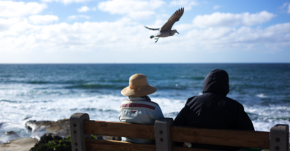 La Jolla, CA: A mature couple sitting on a bench overlooking Windansea Beach in winter near downtown La Jolla; a seagull flies past them.