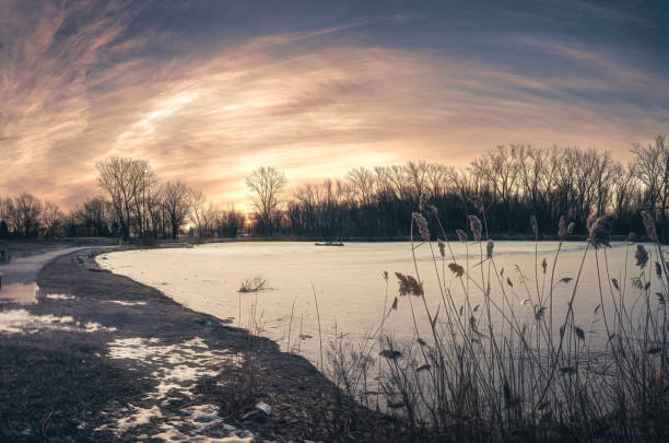 malden park a windsor ontario - scena invernale - malden foto e immagini stock