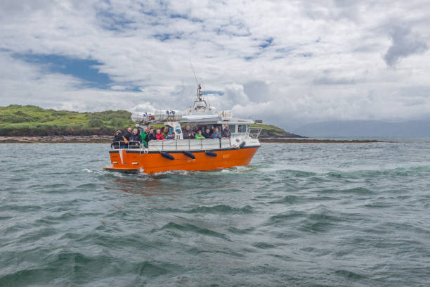 crucero por los acantilados, costa de kerry, irlanda - republic of ireland famous place dingle peninsula slea head fotografías e imágenes de stock