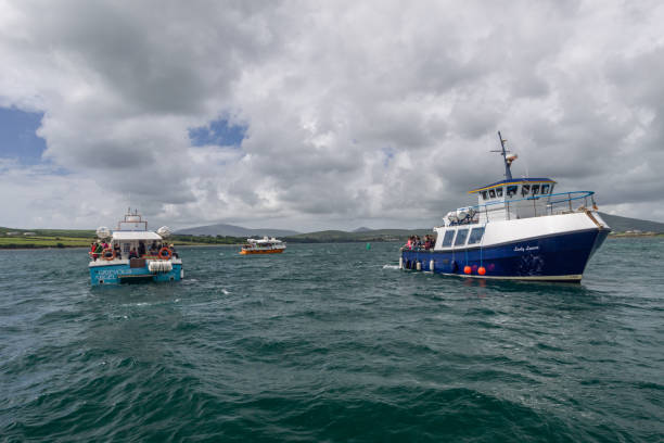 절벽을 따라 크루즈, 케리 해안선, 아일랜드 - republic of ireland famous place dingle peninsula slea head 뉴스 사진 이미지