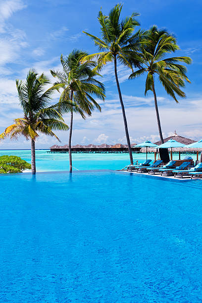 istock Infinity pool with umbrellas and palm trees over lagoon 136483346