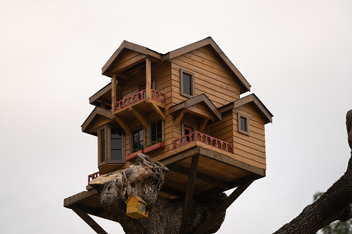 wooden birdhouse attached to a pine tree trunk