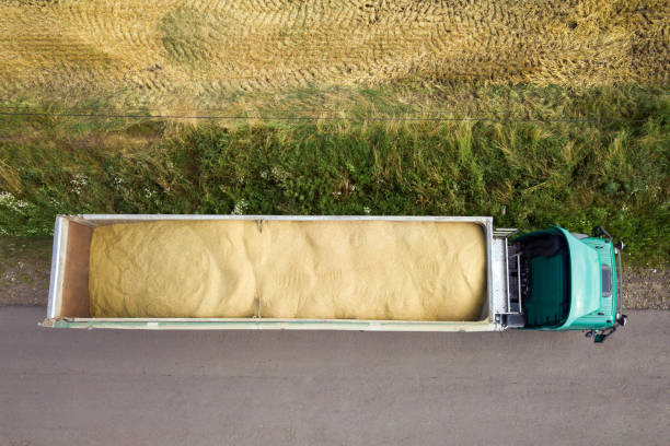 Aerial view of cargo truck driving on dirt road between agricultural wheat fields. Transportation of grain after being harvested by combine harvester during harvesting season Aerial view of cargo truck driving on dirt road between agricultural wheat fields. Transportation of grain after being harvested by combine harvester during harvesting season. personal land vehicle stock pictures, royalty-free photos & images