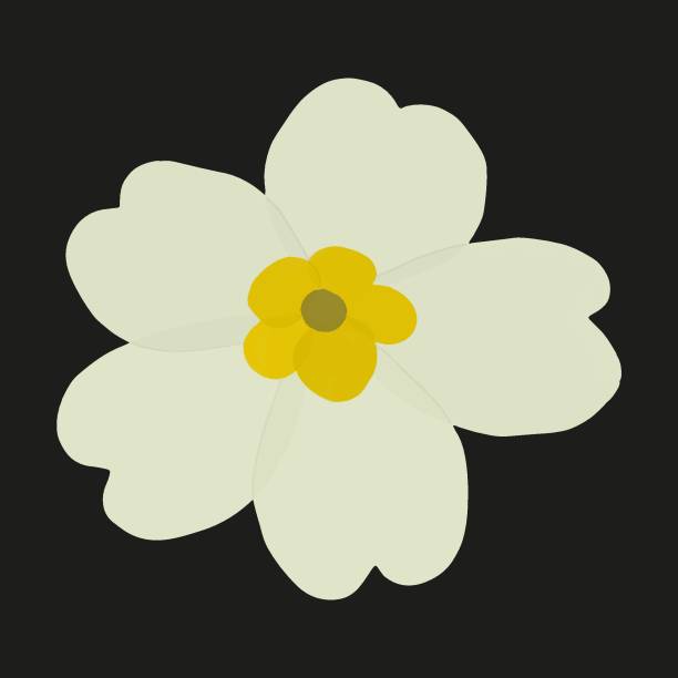 ilustraciones, imágenes clip art, dibujos animados e iconos de stock de primavera - silhouette beautiful flower head close up