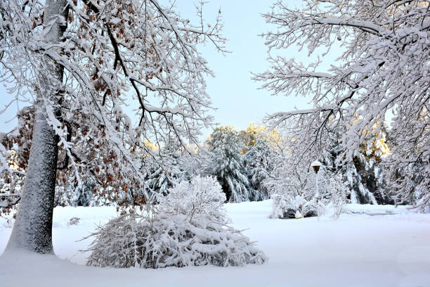 istock Fresh winter scene in New England 1364836098