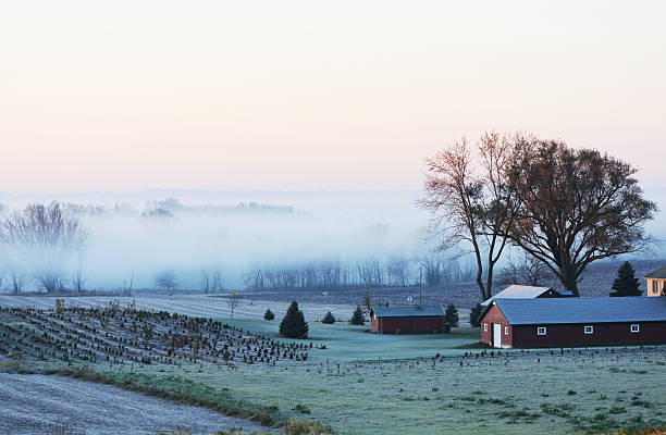 istock Morning Fog 136483766