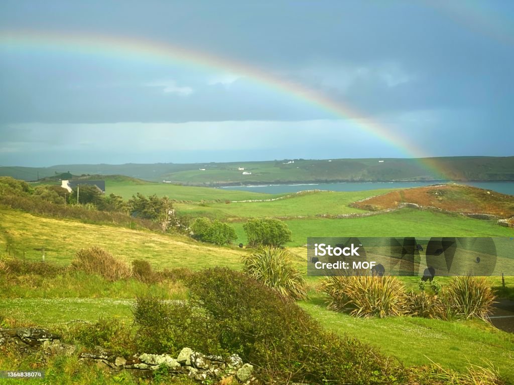 Rainbow over the Irish countryside with cattle grazing in the foreground Ireland Stock Photo