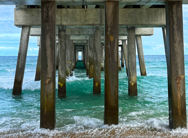istock Pompano Fishing Pier Underside 1364838153