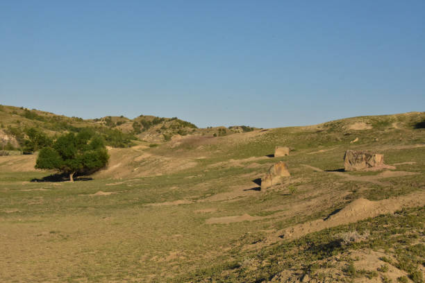 istock Narrow Hiking Path in a Rural Remote Area 1364839000