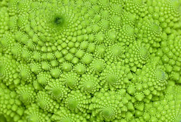 romanesco brócolis close-up - romanesco broccoli - fotografias e filmes do acervo