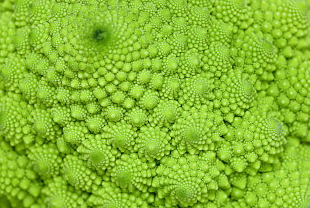 романеско брокколи крупный план - romanesco broccoli стоковые фото и изображения