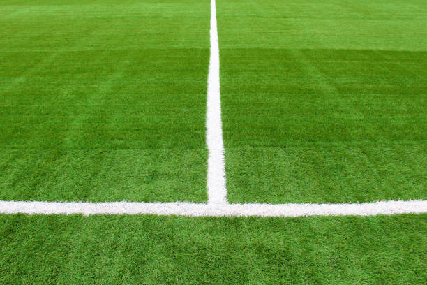 istock Artificial football field. Background. Texture. 1364844829