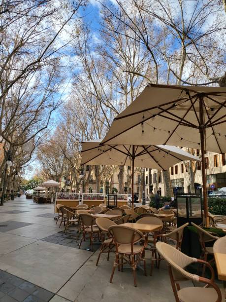 istock outdoor restaurant setup in mallorca plaza de borne 1364846440