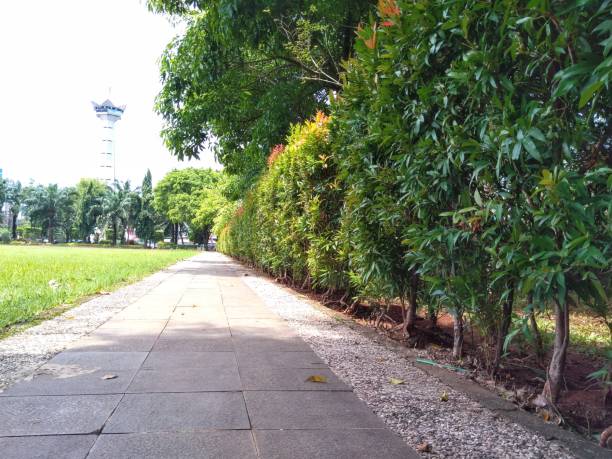 istock a path made for Semarang city park visitors 1364849957