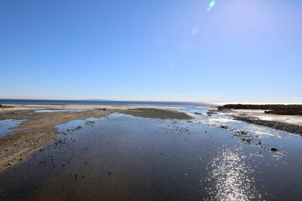 istock Malibu lagoon, Malibu Ca 1364854461