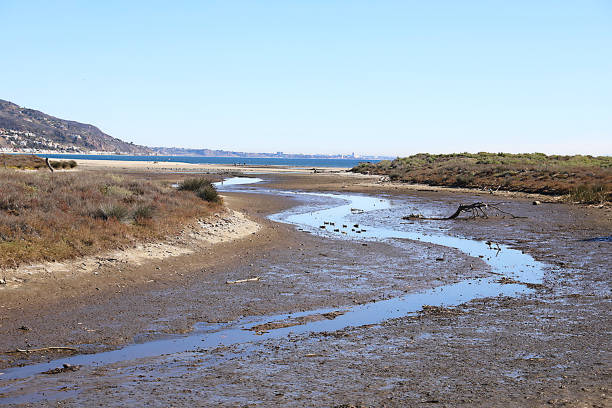 istock Malibu lagoon, Malibu Ca 1364854463