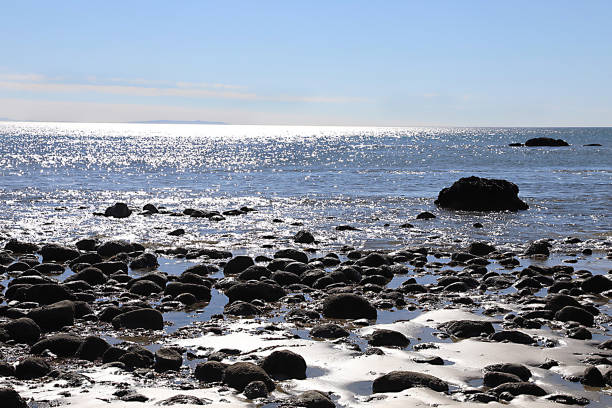The Malibu Lagoon is a coastal wetland, an environment that once covered 95 percent of Southern California. The 31-acre bay sits at the end of the Malibu Creek Watershed and empties into the Pacific Ocean at Malibu's Surfrider Beach, which gets about 1.5 million visitors a year.