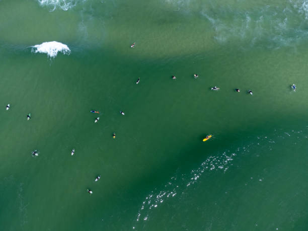 istock Surfers in the water 1364857214