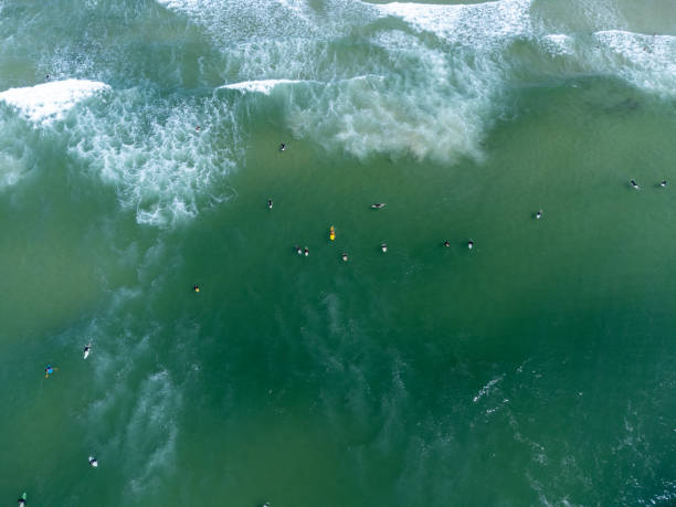 istock Surfers in the water 1364857251