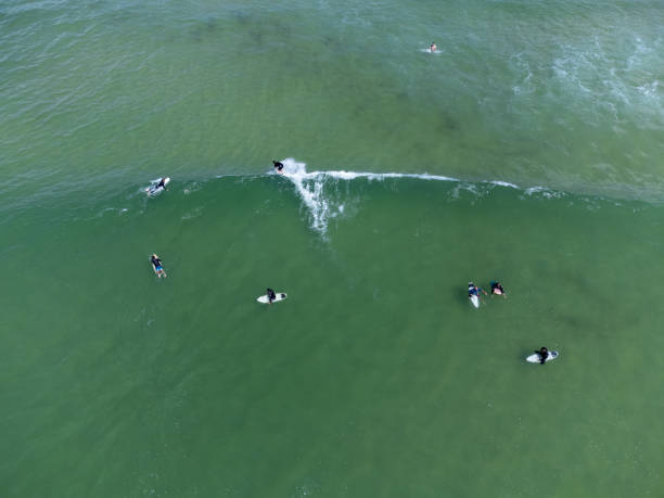 istock Surfers in the water 1364857311