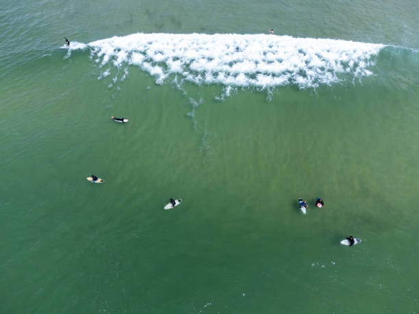 istock Surfers in the water 1364857315