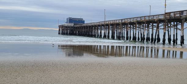 istock Newport Beach pier 1364858579