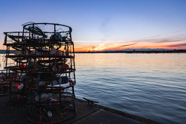 istock Winter Sunset over Port Gardner Bay in Everett WA 1364858685