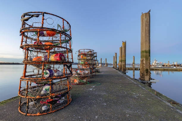 istock Crab Pot Cages on Pier 1364858695