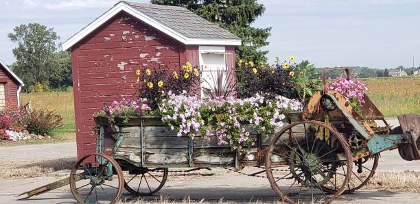 istock Wagon of flowers 1364859693